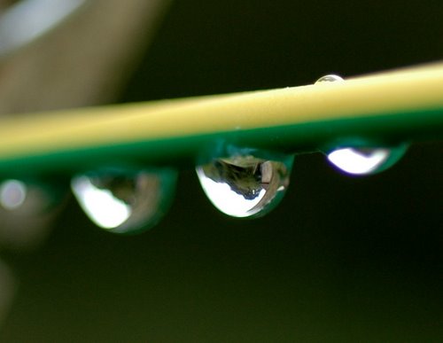 water drops on washing line